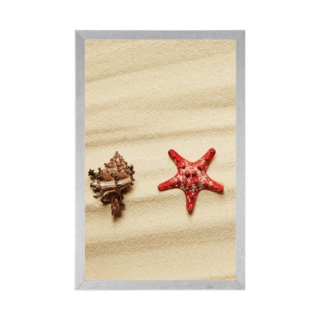 POSTER MUSCHELN AM SANDSTRAND - STILLLEBEN - POSTER