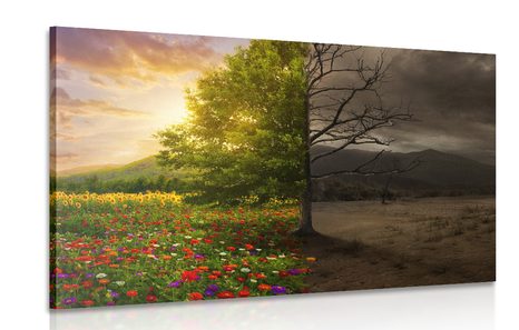 CANVAS PRINT TWO FORMS OF A TREE - PICTURES OF NATURE AND LANDSCAPE - PICTURES