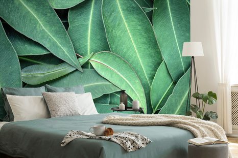 SAMOLEPÍCÍ FOTOTAPETA LISTY EUCALYPTU - SAMOLEPÍCÍ TAPETY - TAPETY