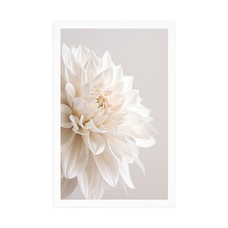 POSTER WEISSE BLÜTENBLÄTTER - BLUMEN - POSTER