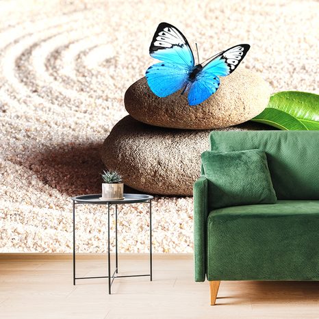 WALL MURAL BLUE BUTTERFLY ON A ZEN STONE - WALLPAPERS FENG SHUI - WALLPAPERS