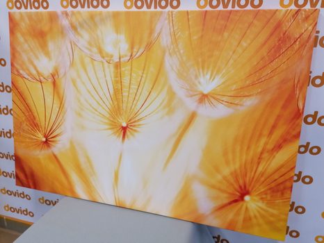 КАРТИНА НА ПЛАТНО – ГЛУХАРЧЕ В ПРЕКРАСНО ИЗПЪЛНЕНИЕ - КАРТИНИ С ЦВЕТЯ - КАРТИНИ