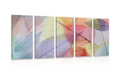 5-PIECE CANVAS PRINT VEINS ON COLORFUL LEAVES
