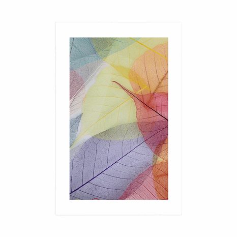 POSTER – VENATURE SULLE FOGLIE COLORATE - NATURA - POSTER