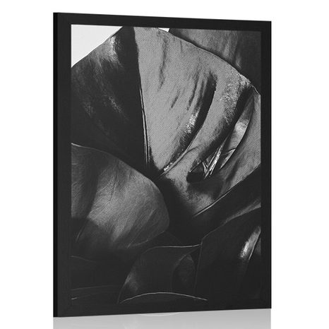 POSTER MONSTERA IN BLACK AND WHITE - BLACK AND WHITE - POSTERS