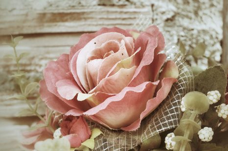 STAMPA SU TELA – ROSA VINTAGE ROSA - QUADRI VINTAGE E RETRÒ - STAMPE E QUADRI