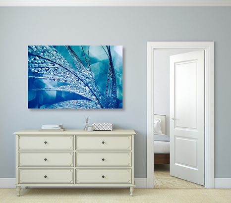 WANDBILD MORGENTAUTROPFEN - STILLLEBEN-BILDER - BILDER