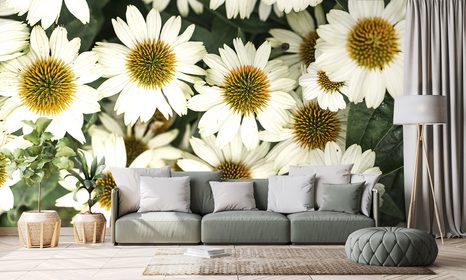 SAMOLEPÍCÍ FOTOTAPETA LÉČIVÉ KVĚTY HEŘMÁNKU - SAMOLEPÍCÍ TAPETY - TAPETY