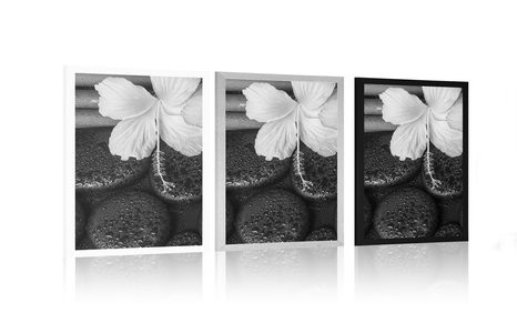 POSZTER WELLNESS CSNEDÉLET FEKETE FEHÉRBEN - FEKETE-FEHÉR - POSZTEREK