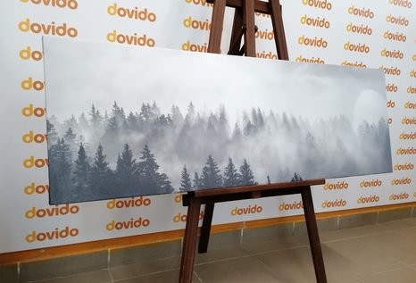 WANDBILD NEBEL ÜBER DEM WALD IN SCHWARZ-WEISS - SCHWARZ-WEISSE BILDER - BILDER