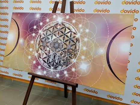 WANDBILD BEZAUBERNDES MANDALA - BILDER MIT FENG SHUI-MOTIVEN - BILDER