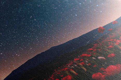 TABLOU LUNCĂ DE MACI SĂLBATICI SUB STELE - DOVIDO CHALLENGE - TABLOURI