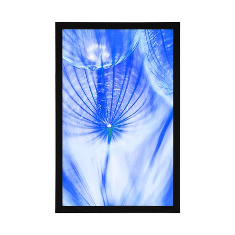 PLAKÁT PAMPELIŠKA V MODRÉM PROVEDENÍ - KVĚTINY - PLAKÁTY