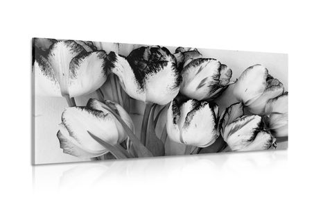 CANVAS PRINT TULIPS WITH A SPRING TOUCH IN BLACK AND WHITE - BLACK AND WHITE PICTURES - PICTURES