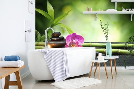 FOTOTAPETA FENG SHUI ZÁTIŠÍ - TAPETY FENG SHUI - TAPETY