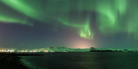 SLIKA NEOBIČAJNI ZELENI SIJ - SLIKE NARAVE IN POKRAJINE - SLIKE