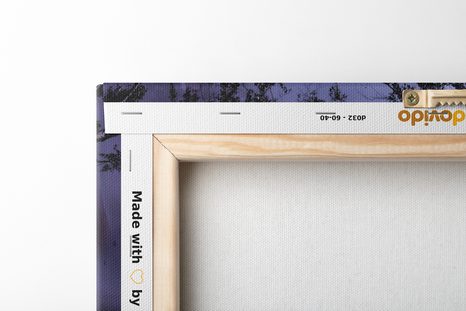 KÉP TÖKÖK TITOKZATOS ERDŐBEN - KÉPEK - 🔥 TELJES KIÁRUSÍTÁS