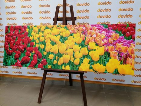 КАРТИНА НА ПЛАТНО – ГРАДИНА ПЪЛНА С ЛАЛЕТА - КАРТИНИ С ЦВЕТЯ - КАРТИНИ