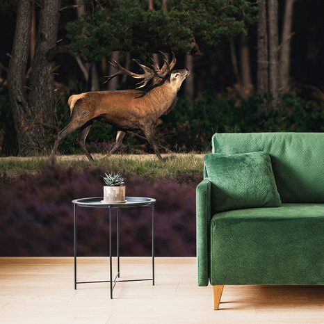 WALL MURAL MAJESTIC DEER - WALLPAPERS ANIMALS - WALLPAPERS