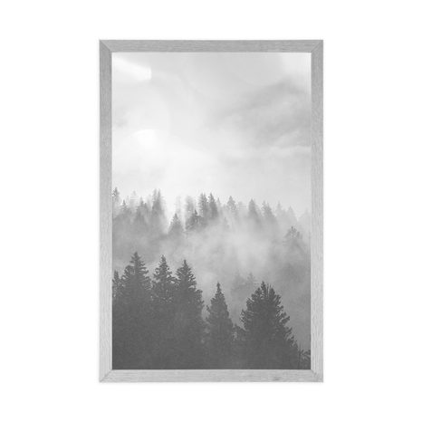 POSTER – NEBBIA SULLA FORESTA IN BIANCO E NERO - NERO E BIANCO - POSTER