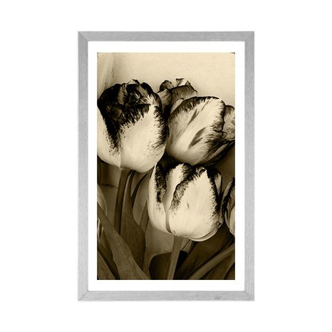 AFFICHE AVEC PASSE-PARTOUT – TULIPES PRINTANIÈRES EN SÉPIA - NOIR ET BLANC - AFFICHES
