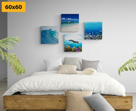 BILDER-SET MEERESWELT - BILDERSETS - BILDER