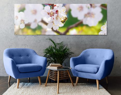 WANDBILD BAUMBLÜTEN IM FRÜHLING - BILDER BLUMEN - BILDER