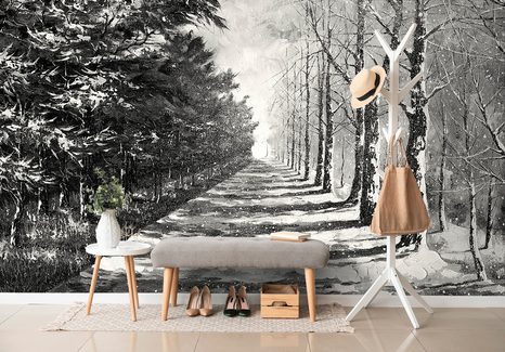 CARTA DA PARATI – VIALE AUTUNNALE IN BIANCO E NERO - CARTA DA PARATI BIANCO E NERO - CARTA DA PARATI