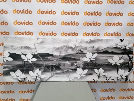 SLIKA NEVSAKDANJE ČRNOBELE ZASNOVE - ČRNOBELE SLIKE - SLIKE