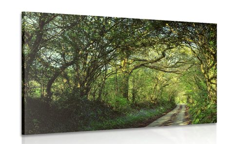 CANVAS PRINT FAIRYTALE FOREST - PICTURES OF NATURE AND LANDSCAPE - PICTURES