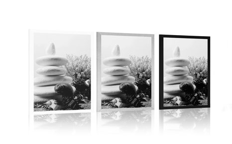 POSTER ZEN STONES WITH SEASHELLS IN BLACK AND WHITE - BLACK AND WHITE - POSTERS