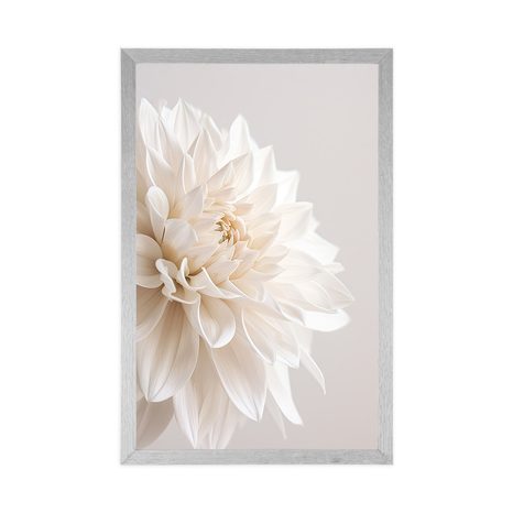 POSTER WEISSE BLÜTENBLÄTTER - BLUMEN - POSTER