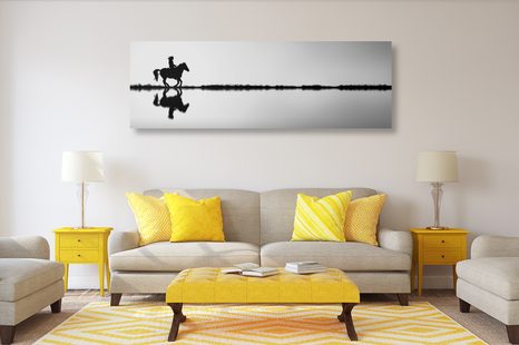 ΕΙΚΌΝΑ ΕΝΌΣ ΚΑΒΑΛΆΡΗ ΣΕ ΑΣΠΡΌΜΑΥΡΟ - ΠΊΝΑΚΕΣ ΑΣΠΡΌΜΑΥΡΕΣ - ΠΊΝΑΚΕΣ