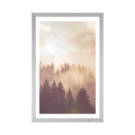 POSTER – NEBBIA SOPRA LA FORESTA - NATURA - POSTER