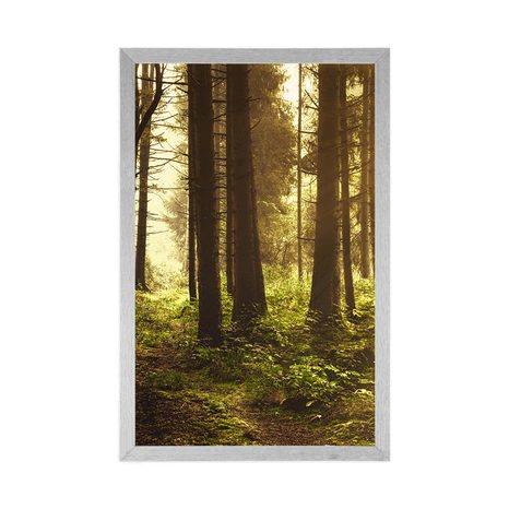 PLAGÁT LES ZALIATY SLNKOM - PRÍRODA - PLAGÁTY