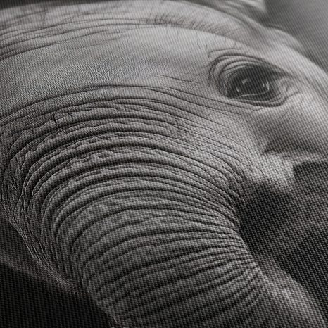 WANDBILD SCHWARZ-WEISSES PORTRÄT EINES ELEFANTEN - BILDER VON ELEFANTEN - BILDER