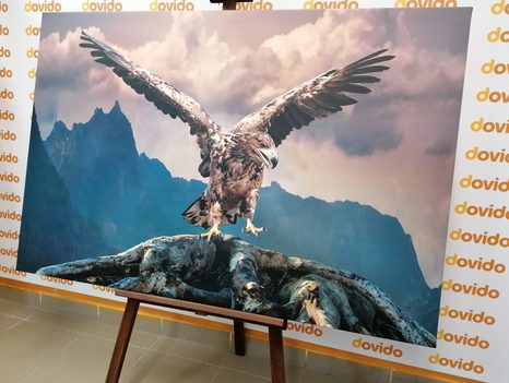 ΕΙΚΌΝΑ ΑΕΤΟΎ ΜΕ ΑΠΛΩΜΈΝΑ ΦΤΕΡΆ ΠΆΝΩ ΑΠΌ ΤΑ ΒΟΥΝΆ - ΠΊΝΑΚΕΣ ΖΏΩΝ - ΠΊΝΑΚΕΣ