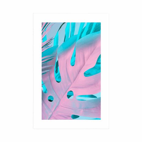 POSTER – FOGLIE DI PALMA IN COLORI VIVACI - NATURA - POSTER