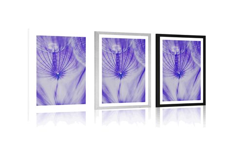 POSZTER PASZPORTUVAL PITYPANG LILA ÁRNYALATBAN - VIRÁGMINTÁS - POSZTEREK