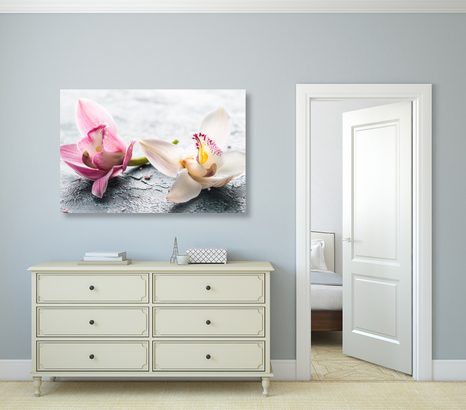 OBRAZ DWUKOLOROWE KWIATY ORCHIDEI - OBRAZY KWIATÓW - OBRAZY