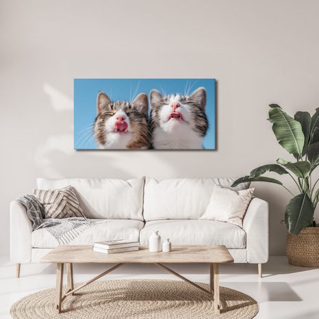 OBRAZ ROZVERNÉ KOČIČÍ DUO V DETAILU - OBRAZY KOČKY - OBRAZY