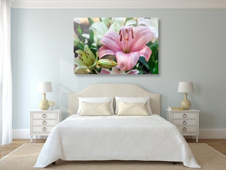 OBRAZ ROZKVETLÉ LILIE V ZAHRADĚ - OBRAZY KVĚTŮ - OBRAZY