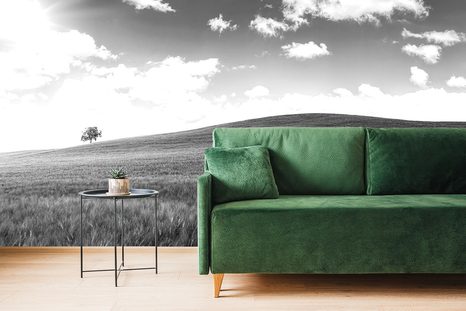 FOTOTAPETA NÁDHERNÝ DEN NA LOUCE V ČERNOBÍLÉM - ČERNOBÍLÉ TAPETY - TAPETY