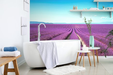 CARTA DA PARATI – CAMPO DI LAVANDA INFINITO - CARTA DA PARATI NATURA - CARTA DA PARATI