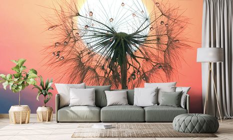 SAMOLEPÍCÍ FOTOTAPETA PAMPELIŠKA PŘI ZÁPADU SLUNCE - SAMOLEPÍCÍ TAPETY - TAPETY