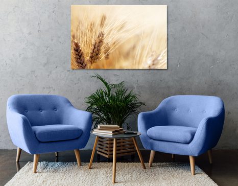 WANDBILD WEIZENFELD - BILDER VON NATUR UND LANDSCHAFT - BILDER