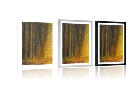 POSTER WITH MOUNT PATH IN THE FOREST - NATURE - POSTERS