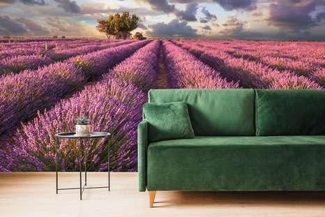 TAPETA ZEMĚ LEVANDULOVÝCH POLÍ - TAPETY PŘÍRODA - TAPETY