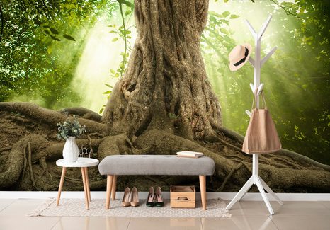 SAMOLEPÍCÍ TAPETA KOŘEN STROMU - SAMOLEPÍCÍ TAPETY - TAPETY