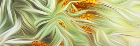 OBRAZ DETAIL RAKYTNÍKU - OBRAZY KVĚTŮ - OBRAZY